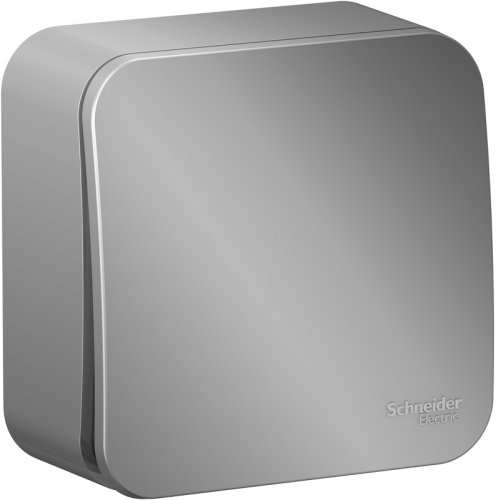 Переключатель накладной Systeme Electric Blanca 1-кл. проходной алюминий фото Переключатель накладной Systeme Electric Blanca 1-кл. проходной алюминий картинка